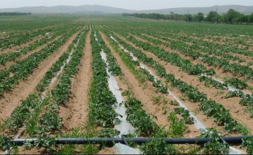 ���̰���